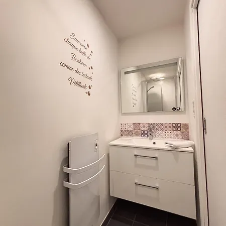 L'ecrin Urbain Chic Et Lumineux Avec Balcon * Reims